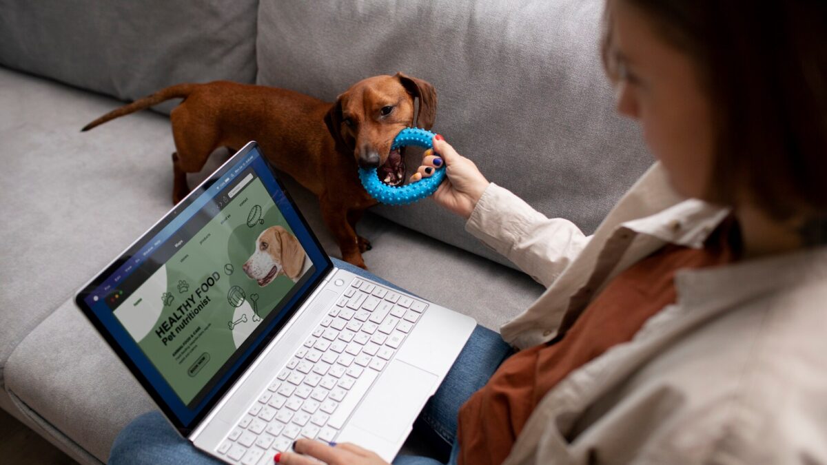 How to start an online pet supplies business